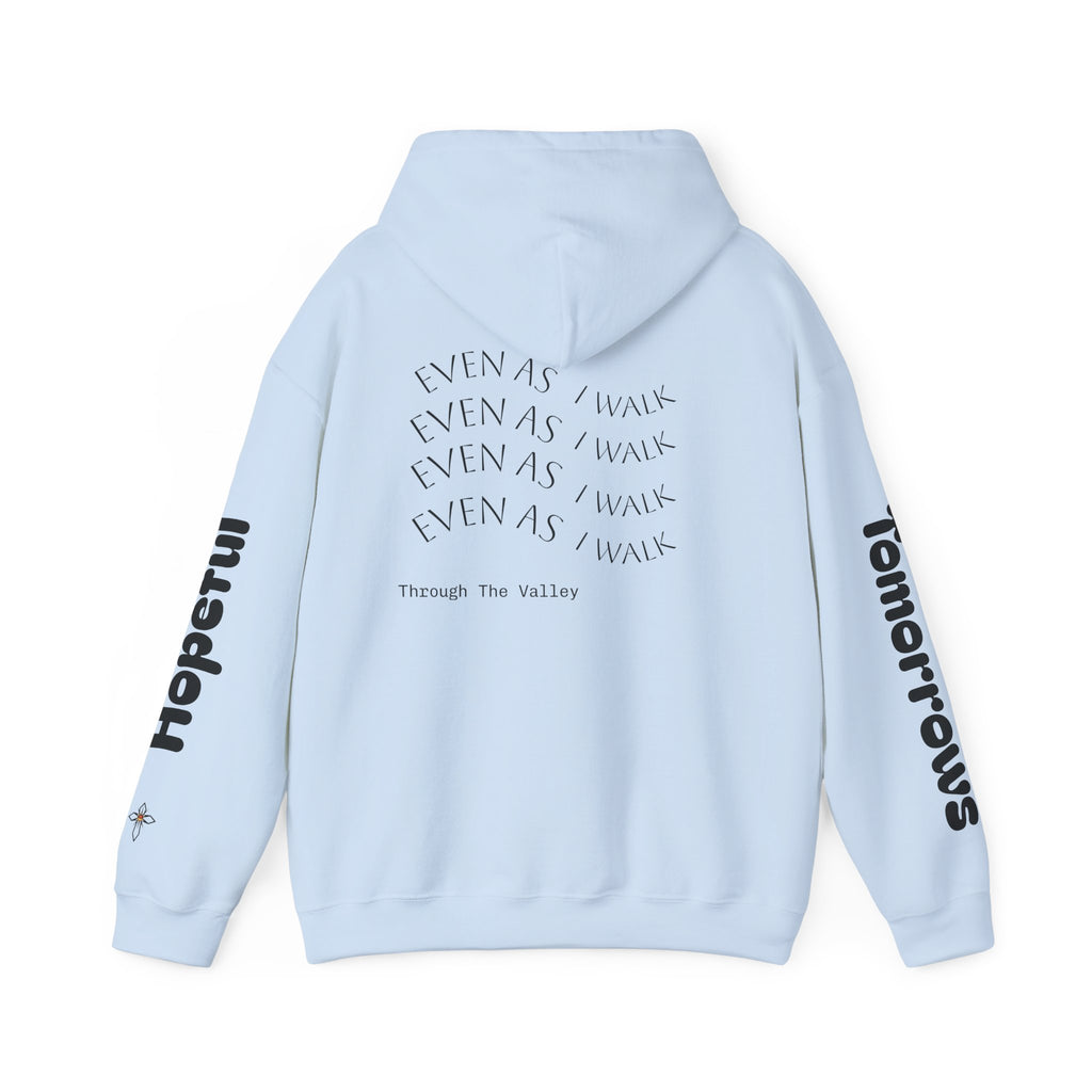V2 Cato 1713 Hoodie