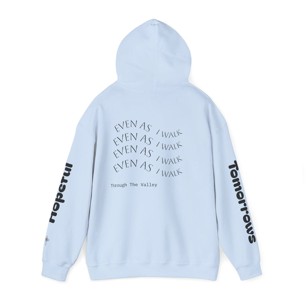 V2 Cato 1713 Hoodie