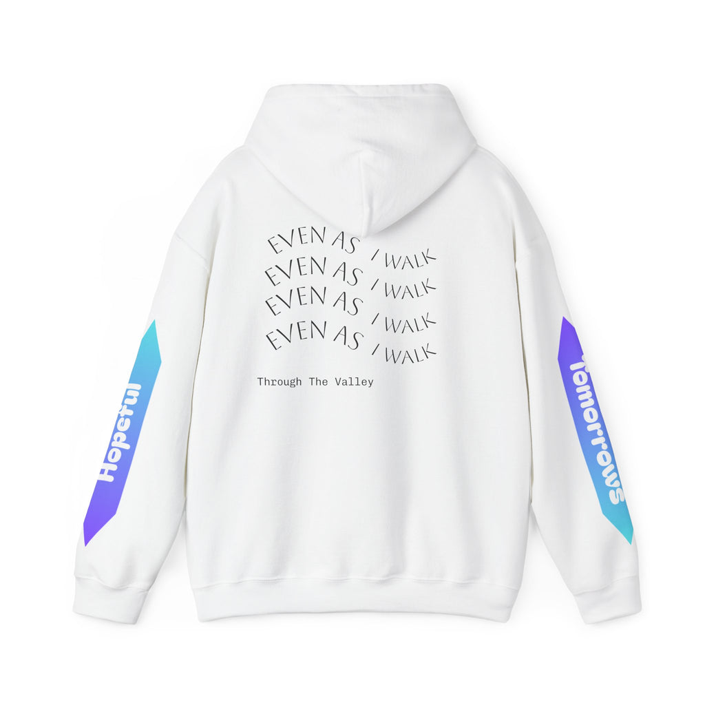 Limited Edition Desolation Hoodie