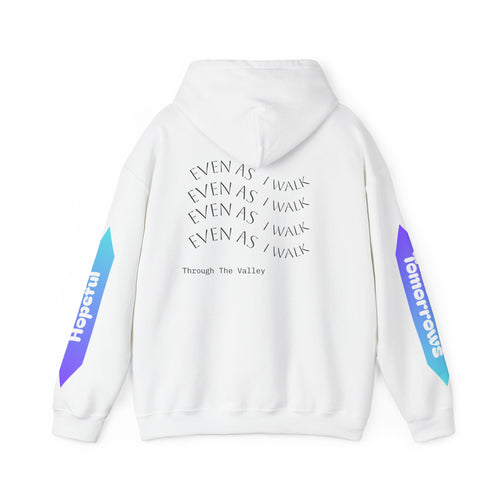 Limited Edition Desolation Hoodie