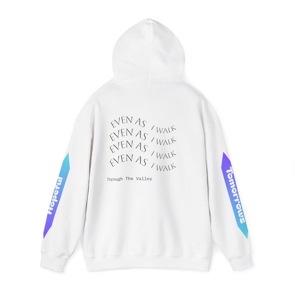 Limited Edition Desolation Hoodie